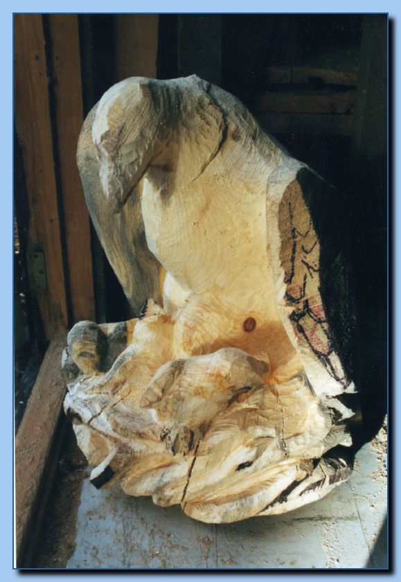 2-30 eagle  perched, half-spread wings-archive-0009
